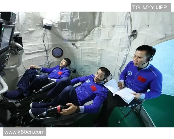 专访赵芳：探寻网球界的成功秘诀与背后故事