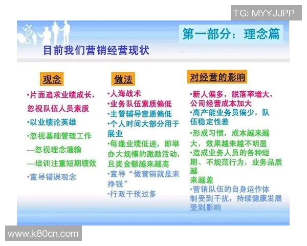南京羽毛球队成员个人能力深度对比分析及其对团队表现的影响